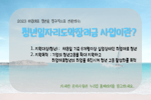 청년일자리도약장려금