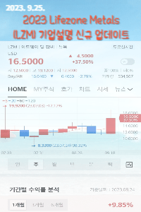 Lifezone Metals(NASDAQ:LZM) 전망