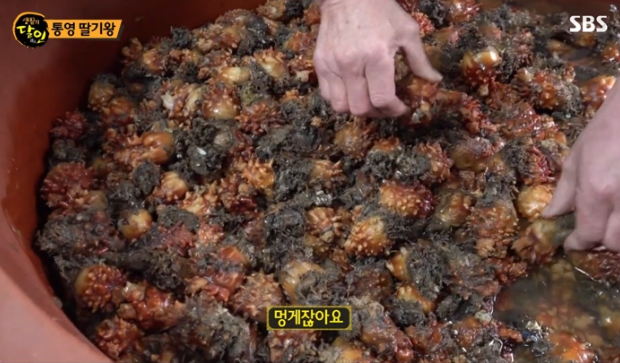 30년을 바친 통영딸기왕, 딸기의 맛과 정성을 확인하다